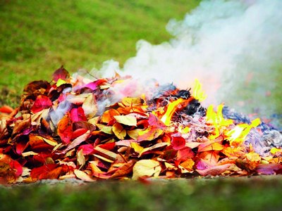 Хазон ёққанга тўрт милион жарима