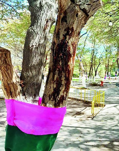 Гужумларни  «мўйловдор»дан қутқара оламизми?