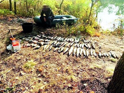 Экорейд  Ваҳшиёна  балиқ  ови  зарар 100 миллион сўмдан ортиқ