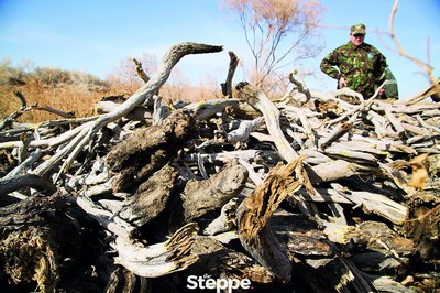 Саксовулни  кесганлар  ўн суткага қамалди