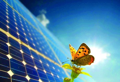 Қуёш электр станциялари биологик хилма-хилликка қандай таъсир қилади?