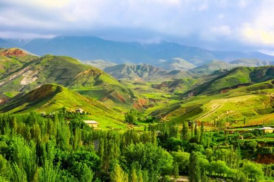 «Яшил  замин  яратувчилари»  эко-марафони ўтказилади