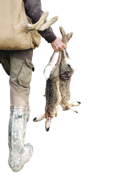 Қуён овловчилар «қуён» бўлишга улгурмади