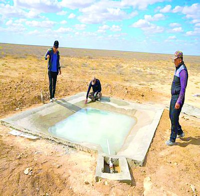 Ёввойи жонзотлар ҳам меҳрга муҳтож