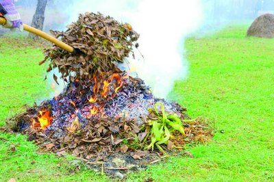 Эҳтиёт бўлинг, хазон билан бирга бутун экотизим ёнади