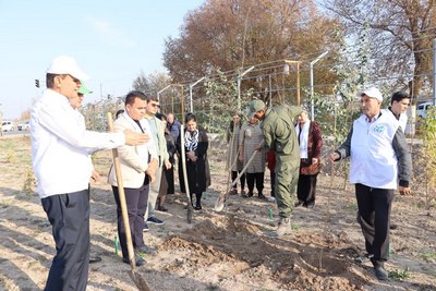 Масъулият ва бурч