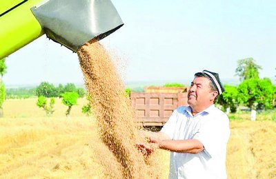 Қишлоқ хўжалиги ходимлари куни:  Фаровонлигимиз бунёдкорлари  юксак эътирофга муносиб