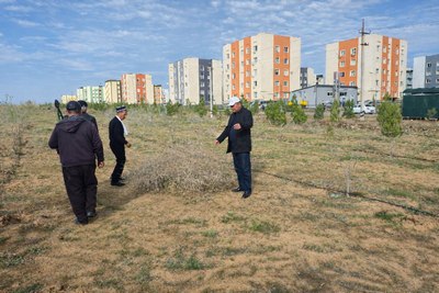 Жарқўрғонда яшил ҳудудлар қандай парваришланмоқда?