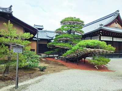 Экологик  инновациялар бўйича пешқадам  мамлакат Япония ушбу мақомга қандай эришди?