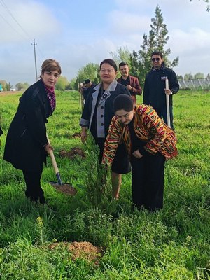 Қаршида янги боғ барпо этилмоқда