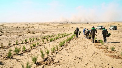Чўлланишга қарши курашиш кўлами ошади